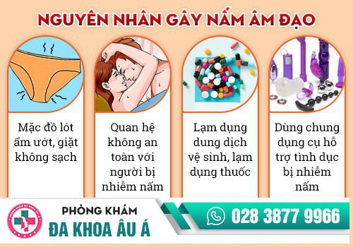 NGUYÊN NHÂN BỊ NẤM PHỤ KHOA
