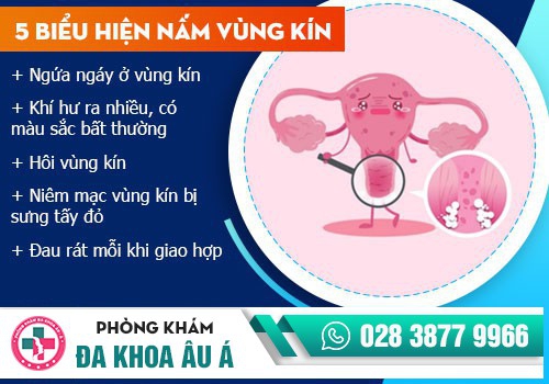 BỊ NẤM PHỤ KHOA 